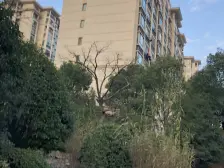 泗泾·米兰诺贵都·2室·2厅