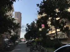 全明户型+小区中间位置+近地铁19号线+价格好谈