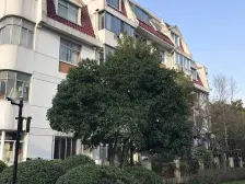 佘山脚下,小区环境好,房屋精装修