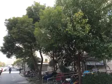 全明户型+小区中间位置+近地铁19号线+价格好谈