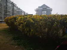 山港桥花苑 楼中楼 有大车库 毛坯 诚心出售