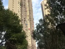 一室一厅格局,绿化好环境好,小区新,主要业主诚意