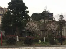 观音桥 志龙花园大厦一房48万