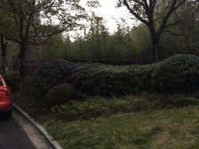 复地九月 2室2厅1卫