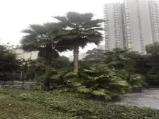 经开区 万友七季城C区三房86万