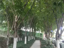 富邦金玖 2室1厅 东南