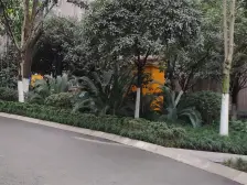 国际社区观邸一组团,正规1室1厅户型