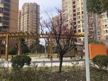 电梯房,中间楼层 无抵押 新上房源