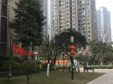 中交万都汇 1室1厅 西南