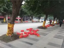 李家沱 融汇半岛格林美地二房43万