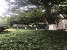 自住精装两房,领包入住,诚心出售,看房便利