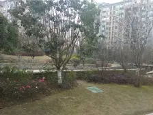 李家沱 融汇半岛格林美地二房51.5万