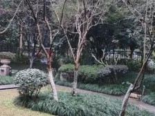 中海大社区 朝中庭住家安静,小区绿化好生活配套成熟