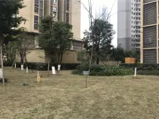 西站旁,居家安静,交通便利,生活配套齐全。