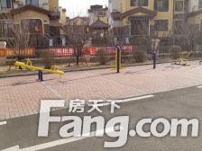 世茂都柏林别墅!多居室!带电梯带花园精装修