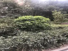 山千院东苑高楼层 保持好 诚心出售