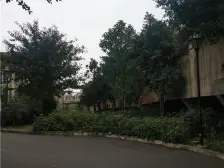 汽博中心 松龙国际四房125万