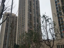 2015年次新小区 门口轻轨 配套齐全 生活方便