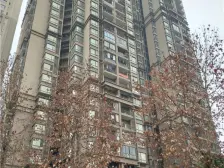 清水两室 户型方正 采光好 随时看