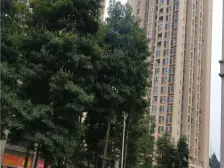 自住精装修保持良好,业主诚心卖,可拎包入住