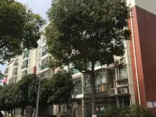 此房手续齐全,格局好,采光好,复式6+7