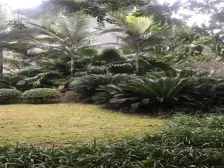 小区近轻轨,小区配套成熟,业主安心卖。