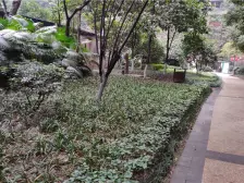 国际社区看江正规一室一厅,精装修,视野采光不错。