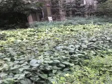 经开区 山千院西苑三房205万