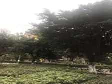 洋房顶跃,一梯两户,带屋顶花园