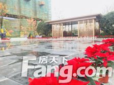 紫云府精装3房 好户型,朝南 阳光充足