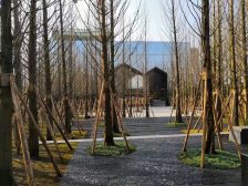 中央公园 万科森林公园林渡三房112万