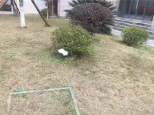 学府路 学府怡景二房50万