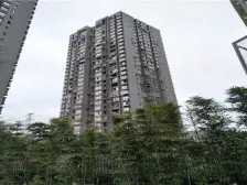 龙湖天街 二郎环线轻轨站旁精装两房