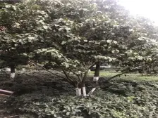 经开区 山千院东苑三房193万