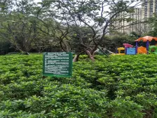 二郎,康田西锦正规一室,清水房出售