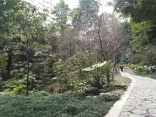 洋河片区 耐德佳苑二房98万