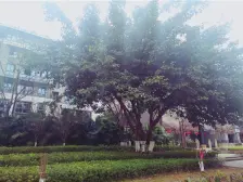 经开区 美每家南滨上院三房150万