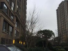 22年精装交付 三开间朝南 次新大三房 视野好 业主诚意