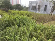 学府路 学府怡景三房