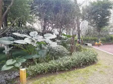 华润置地 清水五居室 相当安静 带花园