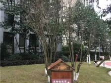 精装大户型,视野佳,双轻轨房。