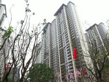 绿地朝阳中心(海珀悦庭)一期 南北通透,采光好 视野好,诚心出售