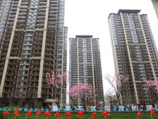 绿地朝阳中心 3室2厅 南 西南