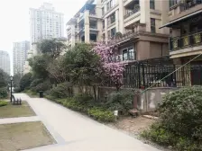 照母山光环购物中心旁博雅二期精装两房