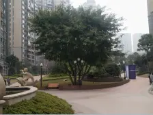 照母山精装修带露台,四房,安心卖