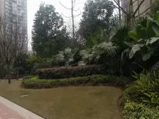 照母山 恒大照母山翡翠华庭三房110万