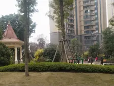 恒大翡翠华庭 3室1厅 东南