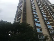 次新小区,高楼层,视野好,格局好,采光充足明厨明卫