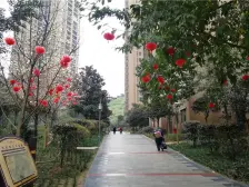 农业园区 龙德悠彩郡一房47万