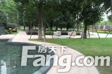 南江滨,融侨外滩,高层视野好。